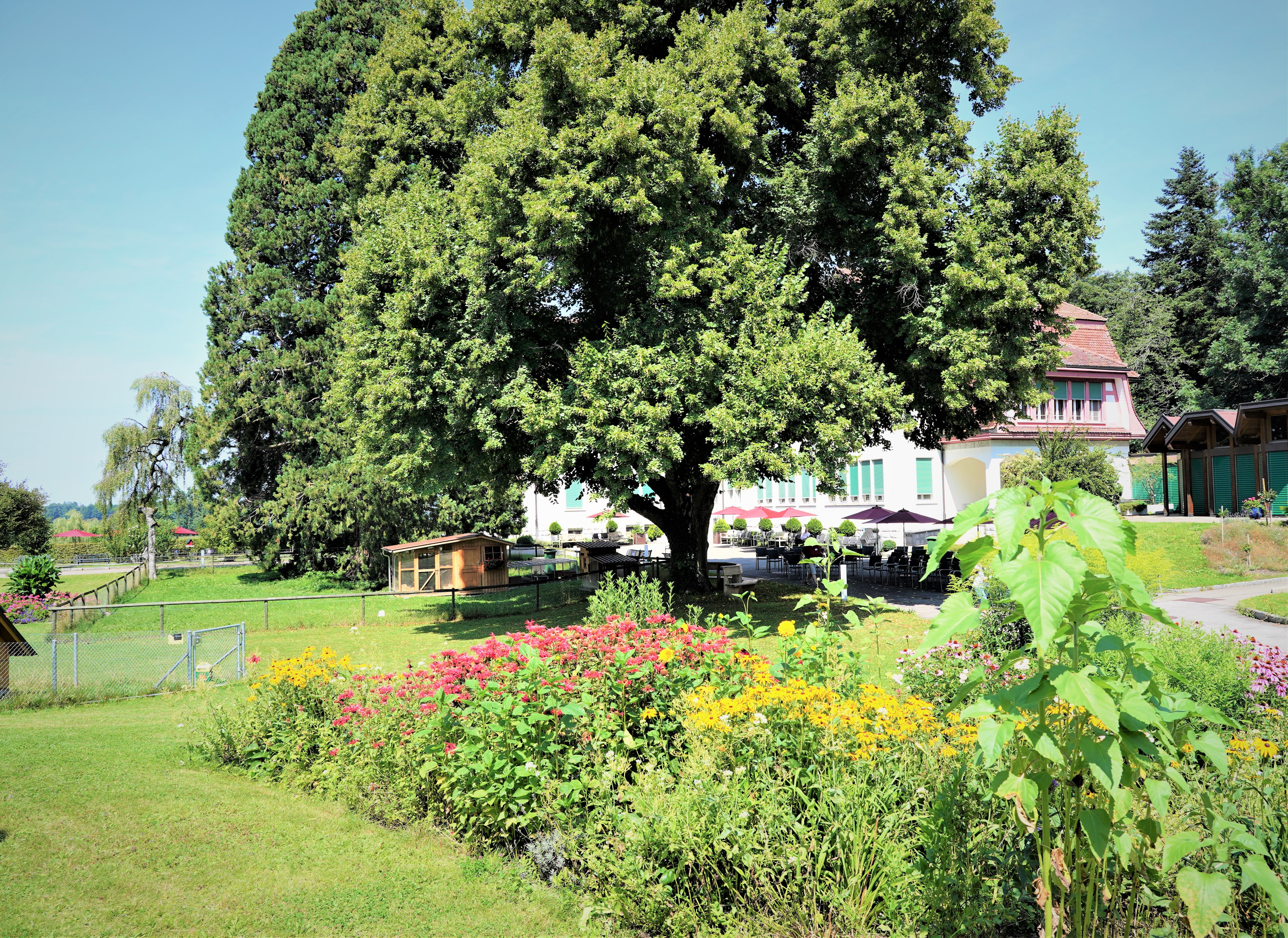 Sommerpracht im Blumengarten mit Blick auf das Haus 1